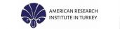 American Research Institute