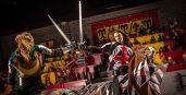 Medieval Times Dallas Castle