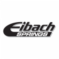 Eibach Springs