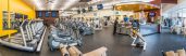 New York Fitness Clubs