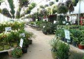 Growers Outlet