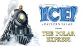 Polar Ice Express