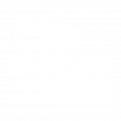 Queen City Cakes