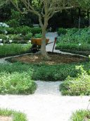 The Herbal Gardens Of Florida