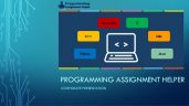 Programmingassignmenthelper