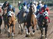 Idaho Racing Commission