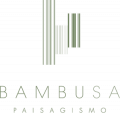 Bambusa