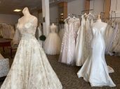 Paradise Bridals and Tuxedos