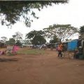 KASONGA TRADING