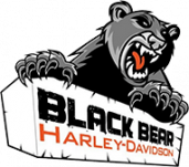 Black Bear Harley-davidson