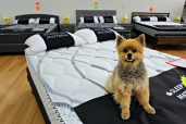 East Coast Mattress And Furniture