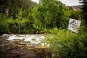 Aspen on the river