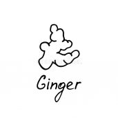 Ginger Limted