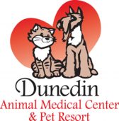 Dunedin Animal Medical Center
