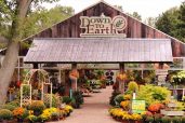 Down To Earth Nursery