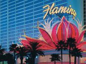 Flamingo Las Vegas Hotel and Casino