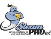 Steam pro