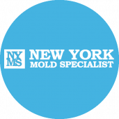 New York Mold Specialist
